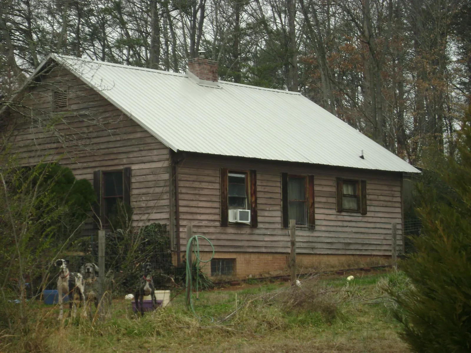 White metal roof on an old wood sided farmhouse, from a Asphalt Shingle Roof Repair job in Louviers